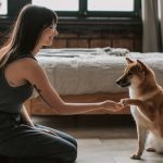 Best Dog Breeds for Apartments
