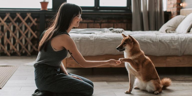 Best Dog Breeds for Apartments