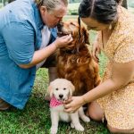 Best Dog Breeds for Families