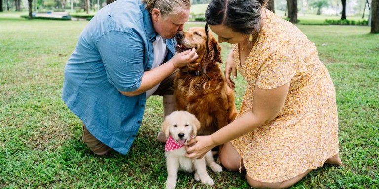 Best Dog Breeds for Families