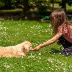 Best Dog Breeds for Kids