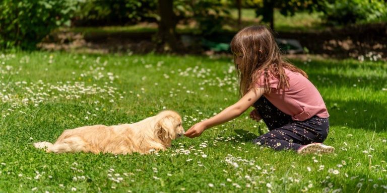 Best Dog Breeds for Kids