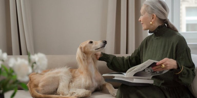 Dog Breeds for Seniors