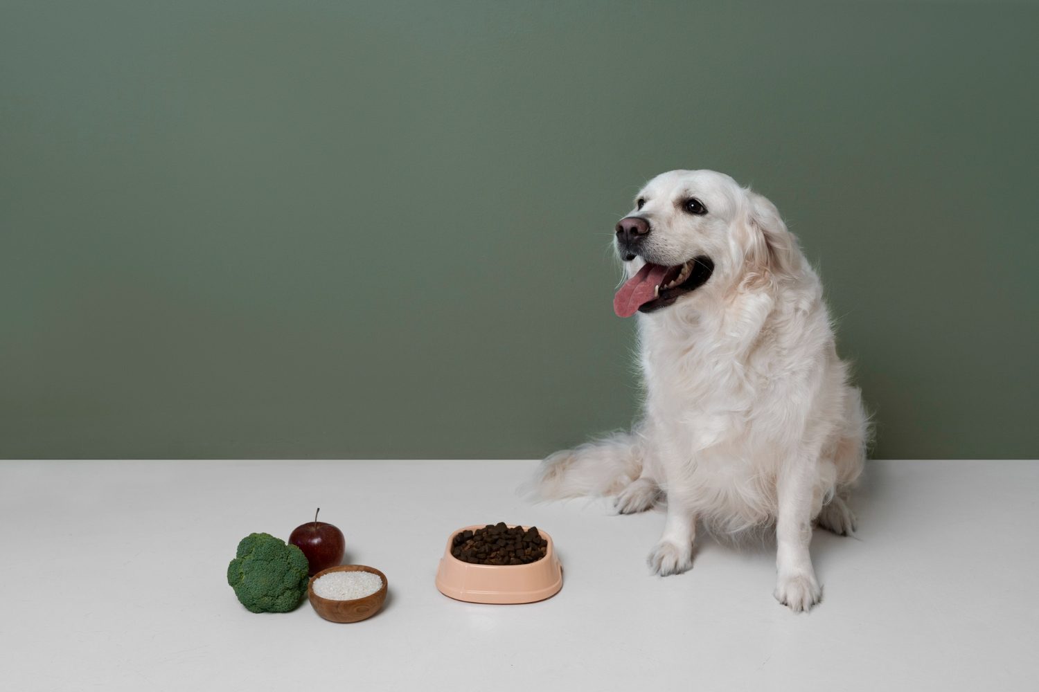 Dog Diets for Weight Loss by Freepik