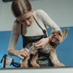 Dog Nail Trimming Guide