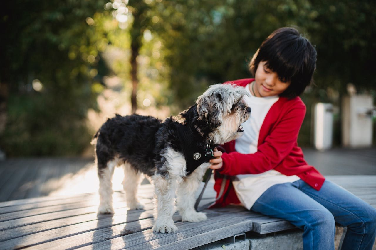 Good Dogs for First Time Owners