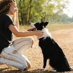 How Do You Train Your Dog to Sit Simple Tips That Work
