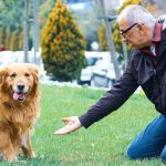How to Provide Your Senior Dog With Proper Exercise