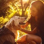 How to Teach Your Dog to Stay
