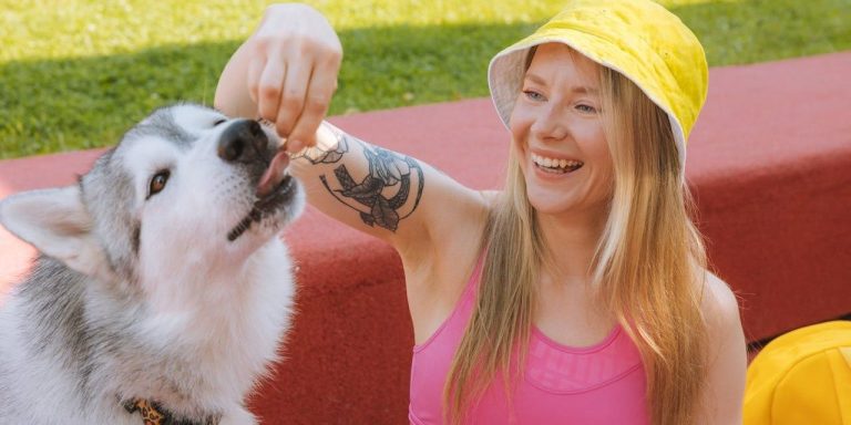 Positive Reinforcement Dog Training