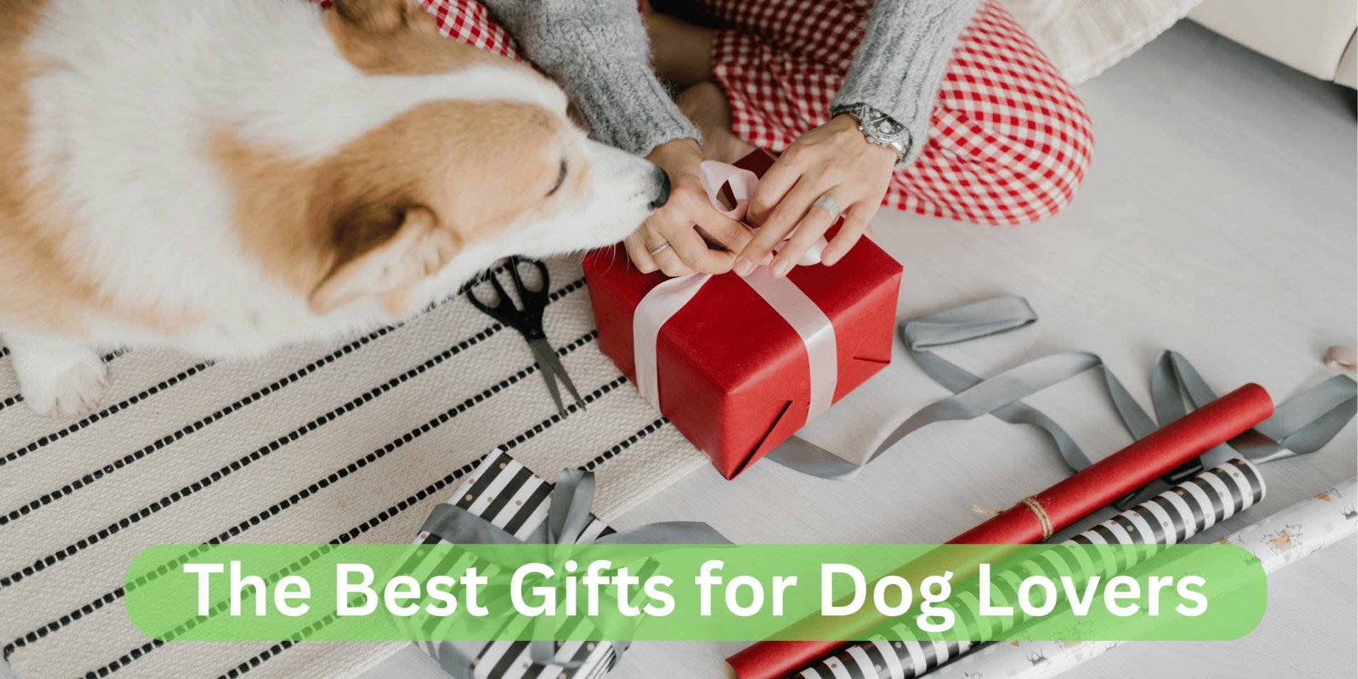 The Best Gifts for Dog Lovers