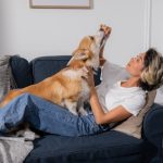 Tips for Training Your Dog Using Rewards