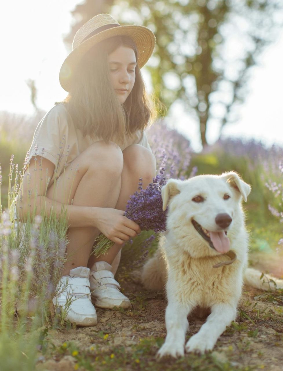 pexels-anastasia-shuraeva-5126966