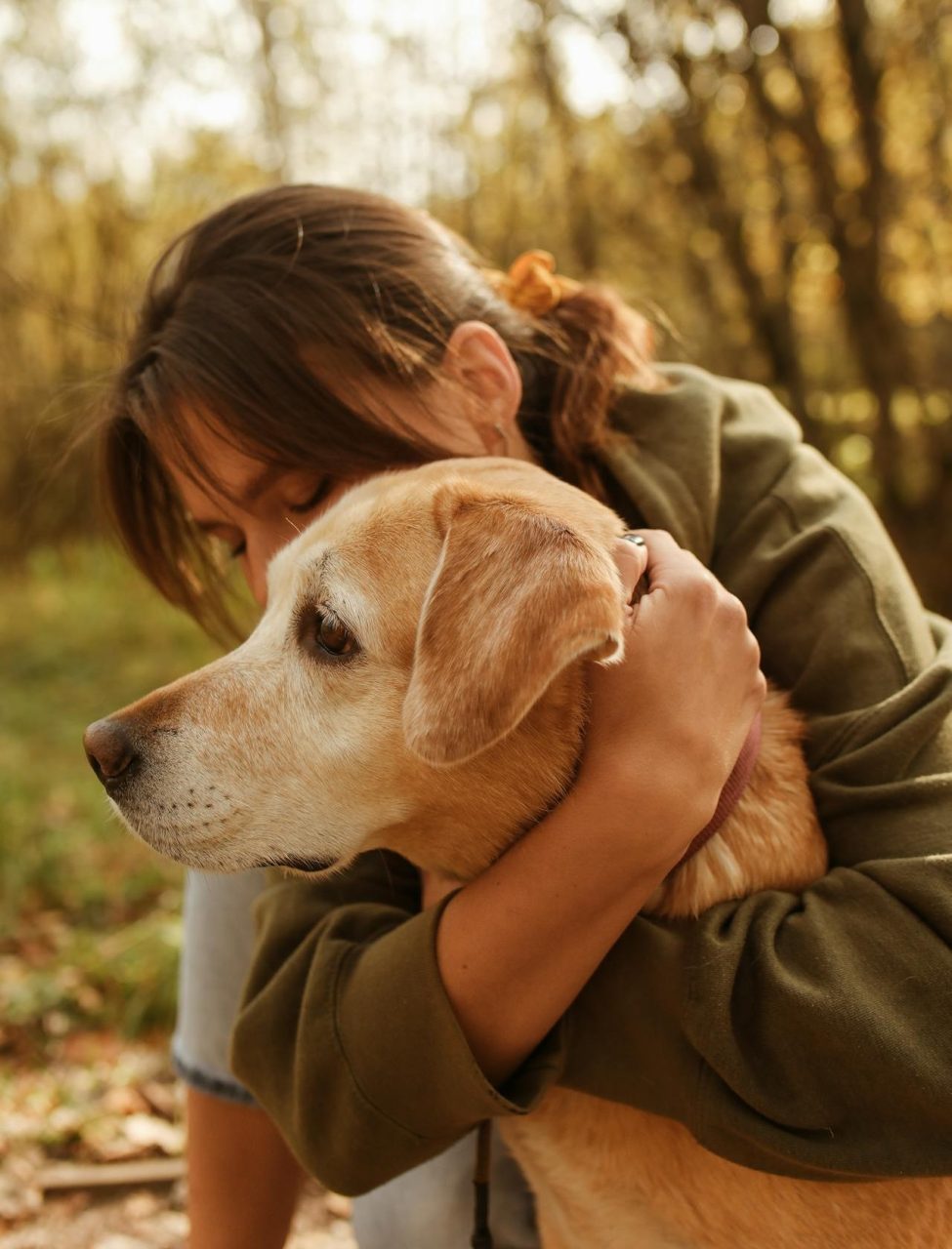 pexels-polina-tankilevitch-5540145