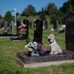 What to Get Someone Whose Dog Died