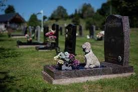What to Get Someone Whose Dog Died