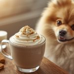 4 Ingredient Homemade Puppuccino