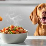 Chicken Dog Food Recipes