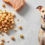 Freeze Dried Dog Treats Recipe