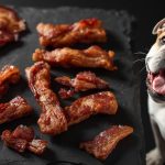 Homemade Bacon Dog Treats