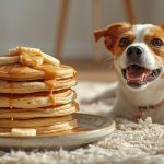 Homemade Dog Pancakes