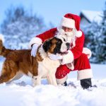 The Santa Clauses New Helper