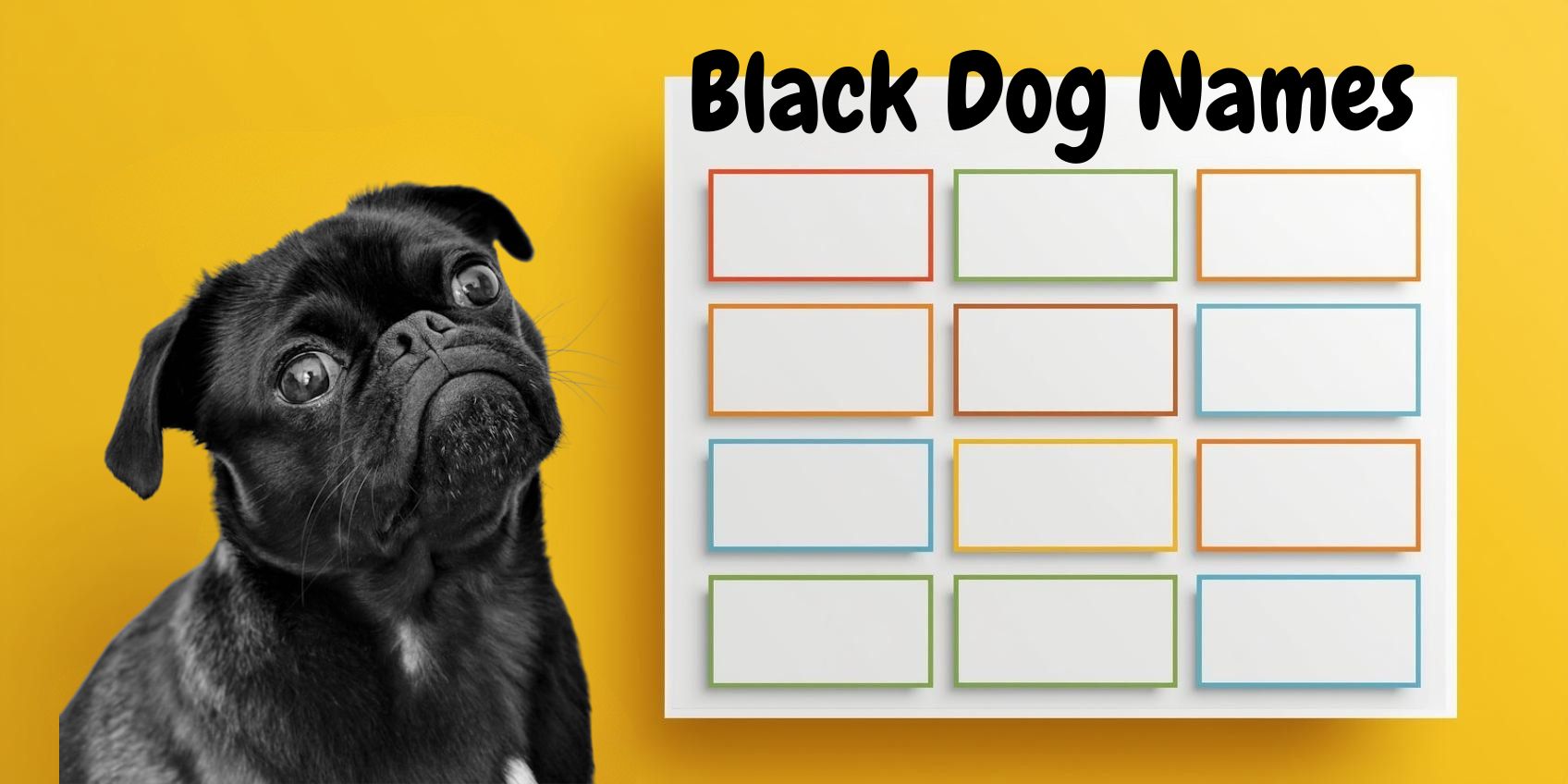 Black Dog Names
